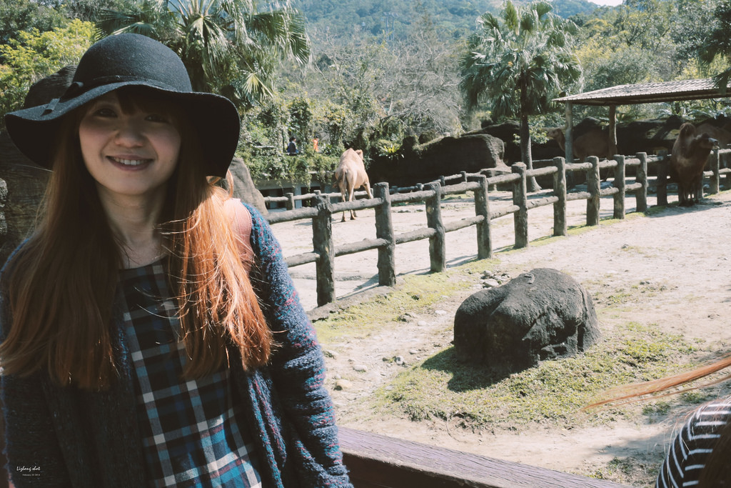 木柵動物園小記,NO.2