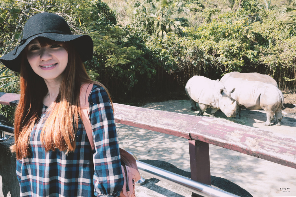 木柵動物園小記,NO.2