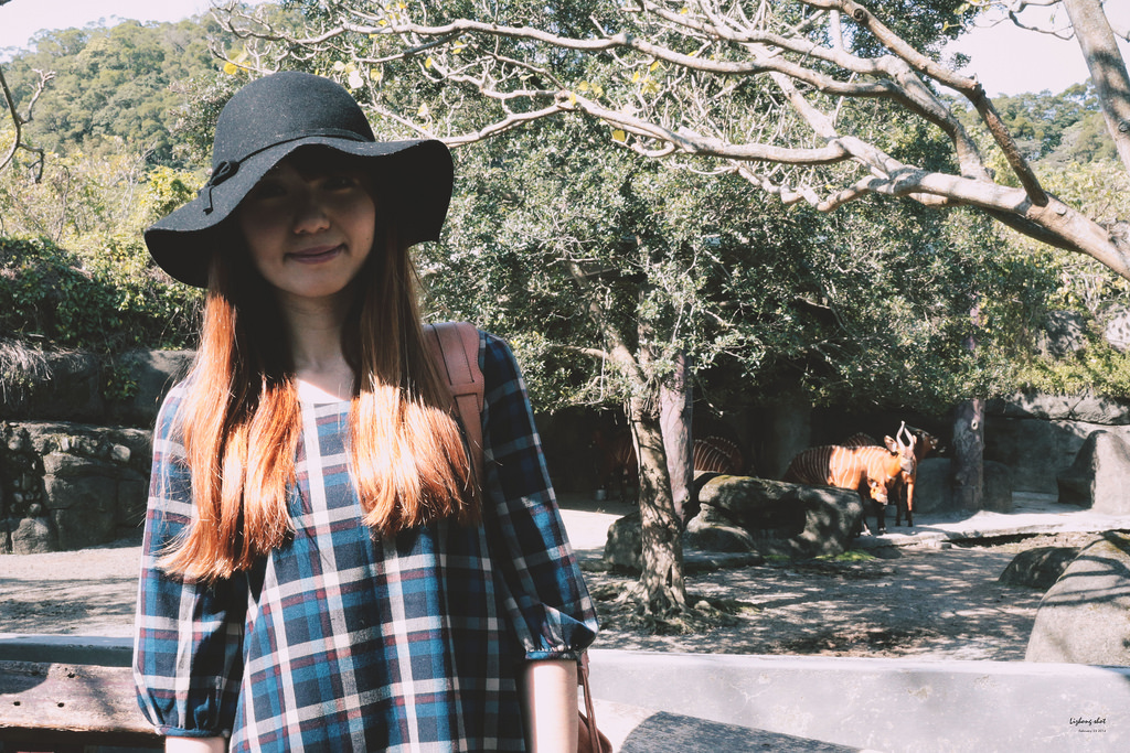 木柵動物園小記,NO.2