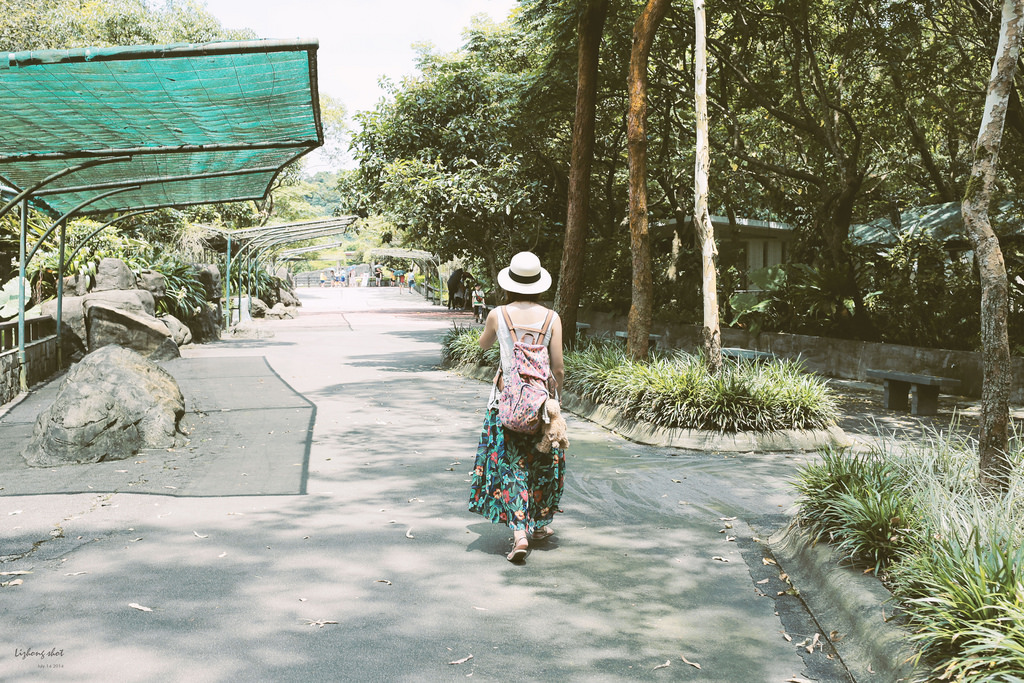 滋潤心靈的木柵動物園小記#3