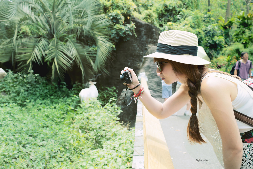 滋潤心靈的木柵動物園小記#3