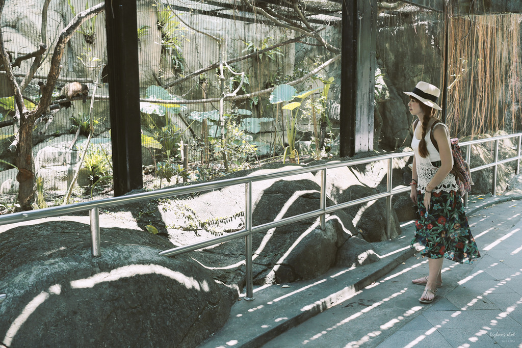 滋潤心靈的木柵動物園小記#3