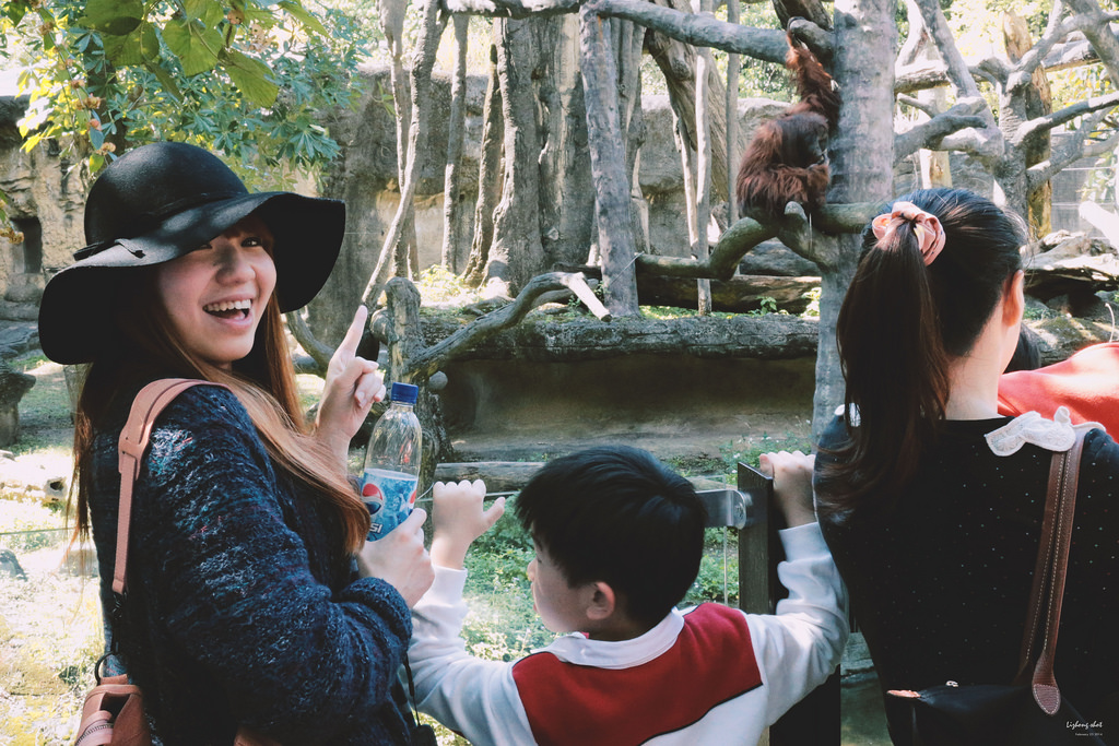 木柵動物園小記,NO.2