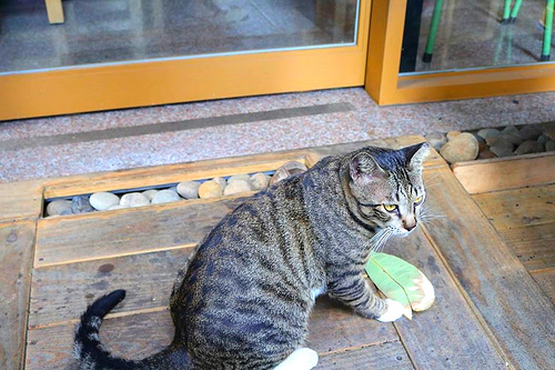 尼克叔叔創意廚房:【新北市中和美食】尼克叔叔創意廚房~平價異國料理/沒有過多商業化的裝潢/簡單溫馨的聚會好去處