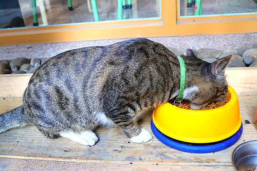 尼克叔叔創意廚房：【新北市中和美食】尼克叔叔創意廚房~平價異國料理/沒有過多商業化的裝潢/簡單溫馨的聚會好去處