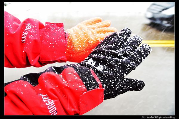 20150124汐止五指山賞雪12