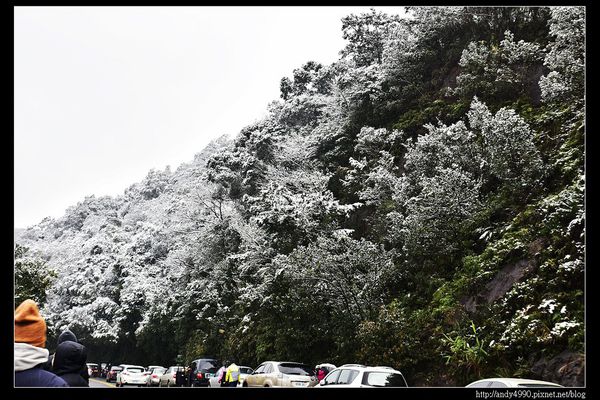 20150124汐止五指山賞雪3