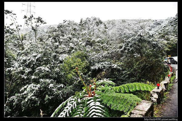 20150124汐止五指山賞雪2