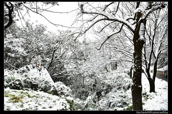 20150124汐止五指山賞雪21