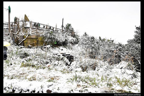 20150124汐止五指山賞雪19