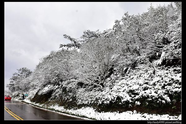 20150124汐止五指山賞雪24
