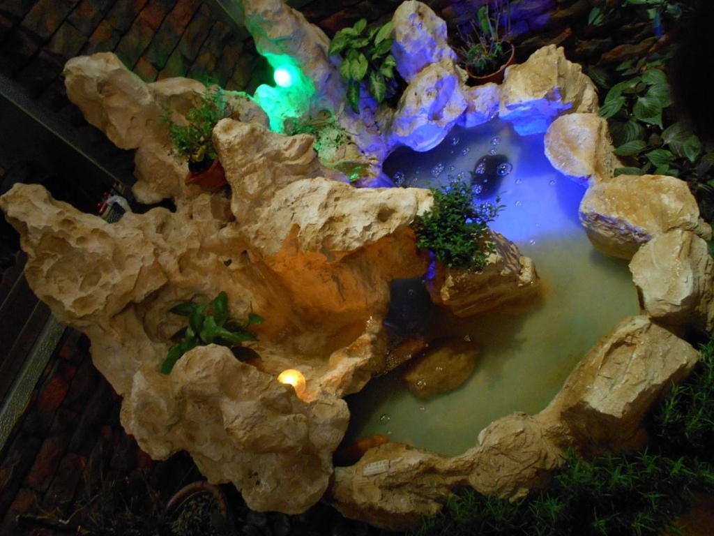 13055033_1328459400505049_702849332484070650_o