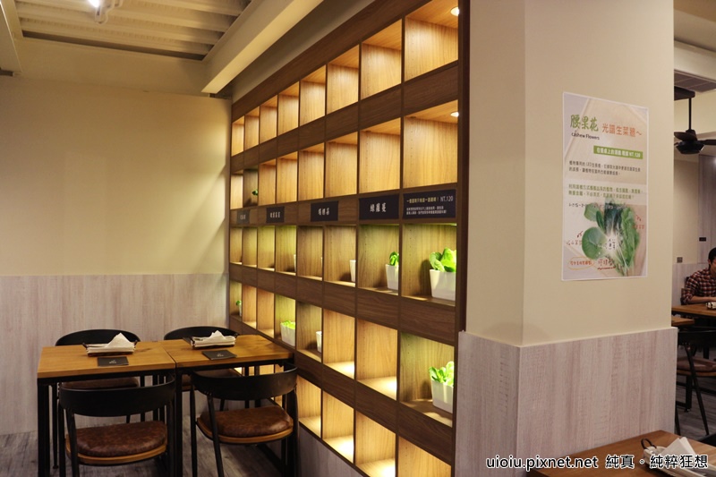 160226 新竹 腰果花011.JPG