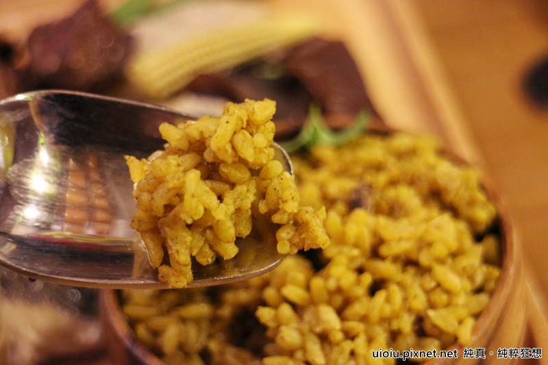 160226 新竹 腰果花032.JPG