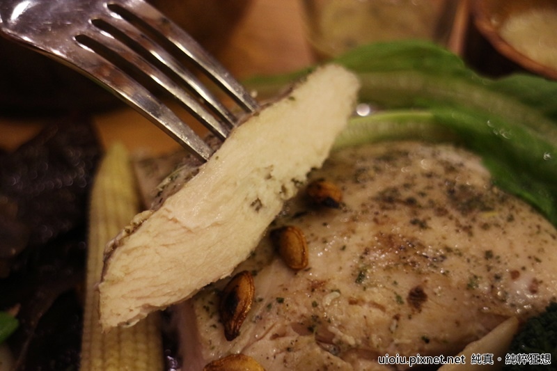 160226 新竹 腰果花027.JPG