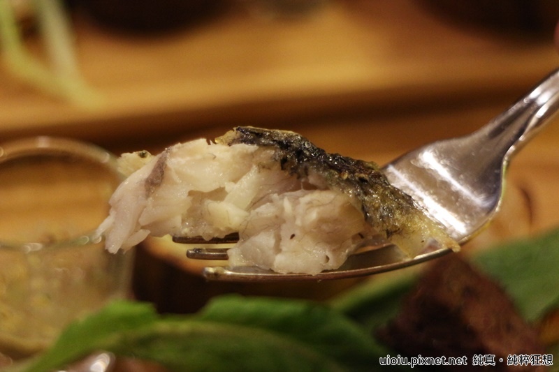 160226 新竹 腰果花035.JPG