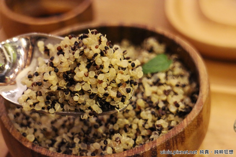 160226 新竹 腰果花029.JPG