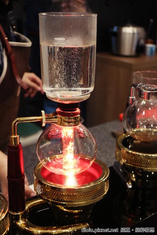 160226 新竹 腰果花007.JPG