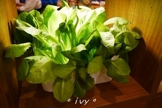 腰果花:新竹公道五。腰果花砧板原食料理