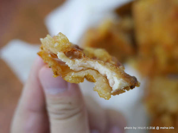 偉哥鹽酥雞(嶺東店)：【食記】台中偉哥鹽酥雞-嶺東店@南屯精密機械科學園區&嶺東科大 : 口感酥脆, 味道多元, 醬不醬都不差的海線老字號