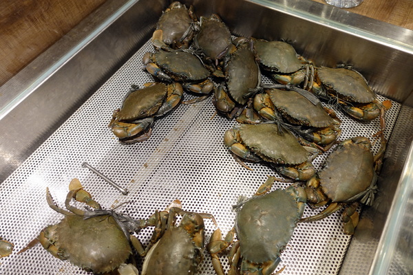 薑母六三：(胖樺食記)民生東路薑母鴨及熱炒一次滿足「薑母六三」。奢華紅蟳沙公沙母入鍋的海味十足