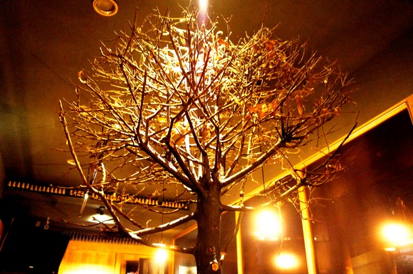 樹下 Undertree：樹下 Undertree