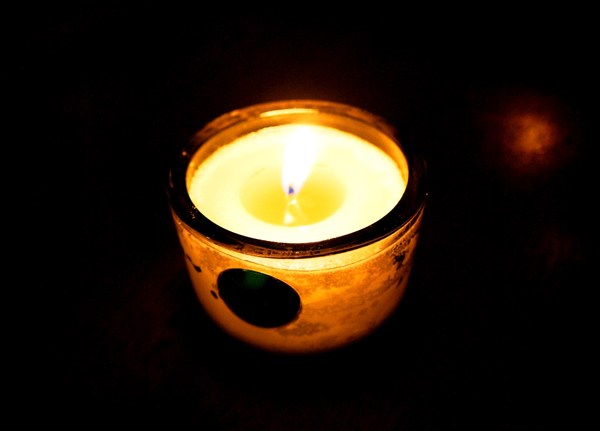 樹下 Undertree：樹下 Undertree