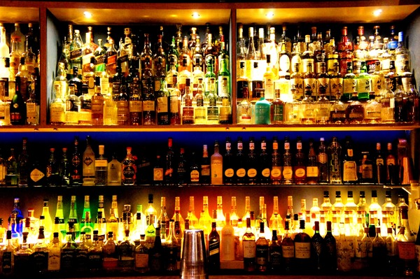 樹下 Undertree：樹下 Undertree