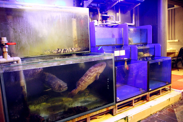 漁之村：【台北市松山區。台菜餐廳】漁之村海鮮餐廳 生猛海鮮 過年尾牙辦桌首選