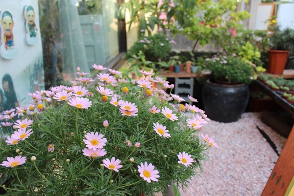 Our Bar：[台南] 新景點//藍晒圖文創園區。繽紛義式冰棒 酸甜好滋味。Our Bar