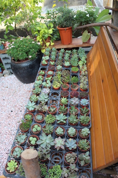 Our Bar：[台南] 新景點//藍晒圖文創園區。繽紛義式冰棒 酸甜好滋味。Our Bar