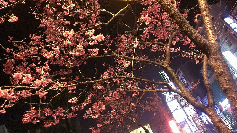 12837353_1100216333363846_1579854880_o