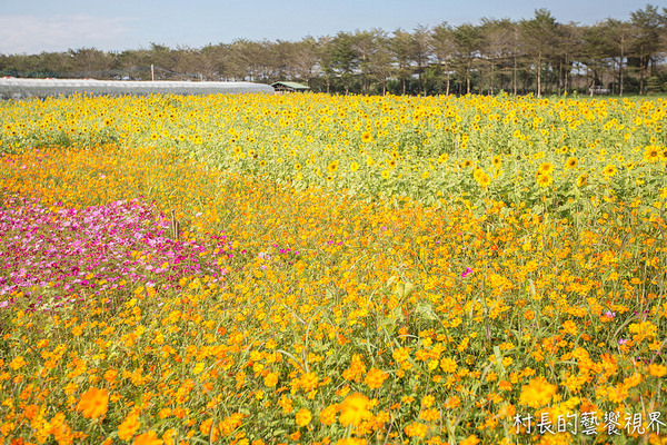屏東農業博覽會：【遊記】｛屏東。長治鄉｝超多元超美麗的2016屏東熱帶農業博覽會！！千萬不能錯過
