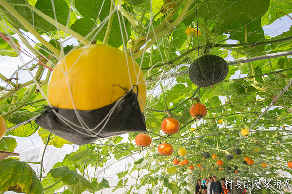 屏東農業博覽會：【遊記】｛屏東。長治鄉｝超多元超美麗的2016屏東熱帶農業博覽會！！千萬不能錯過
