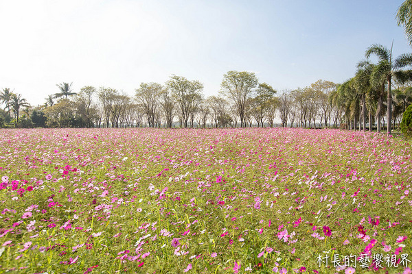 屏東農業博覽會：【遊記】｛屏東。長治鄉｝超多元超美麗的2016屏東熱帶農業博覽會！！千萬不能錯過