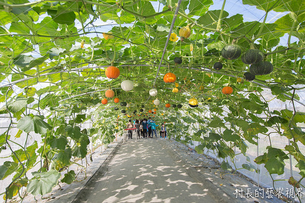 屏東農業博覽會：【遊記】｛屏東。長治鄉｝超多元超美麗的2016屏東熱帶農業博覽會！！千萬不能錯過