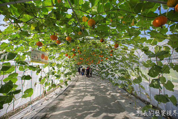 屏東農業博覽會：【遊記】｛屏東。長治鄉｝超多元超美麗的2016屏東熱帶農業博覽會！！千萬不能錯過