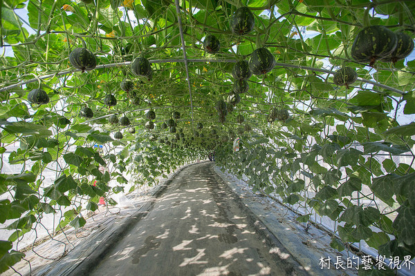 屏東農業博覽會：【遊記】｛屏東。長治鄉｝超多元超美麗的2016屏東熱帶農業博覽會！！千萬不能錯過