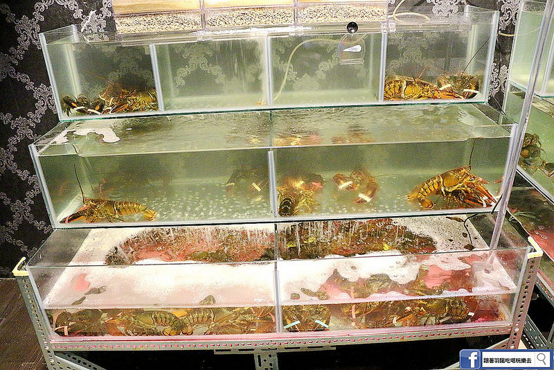 原村日式炭火燒肉吃到飽018