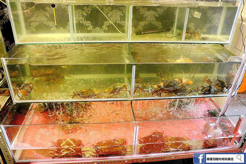 原村日式炭火燒肉吃到飽019