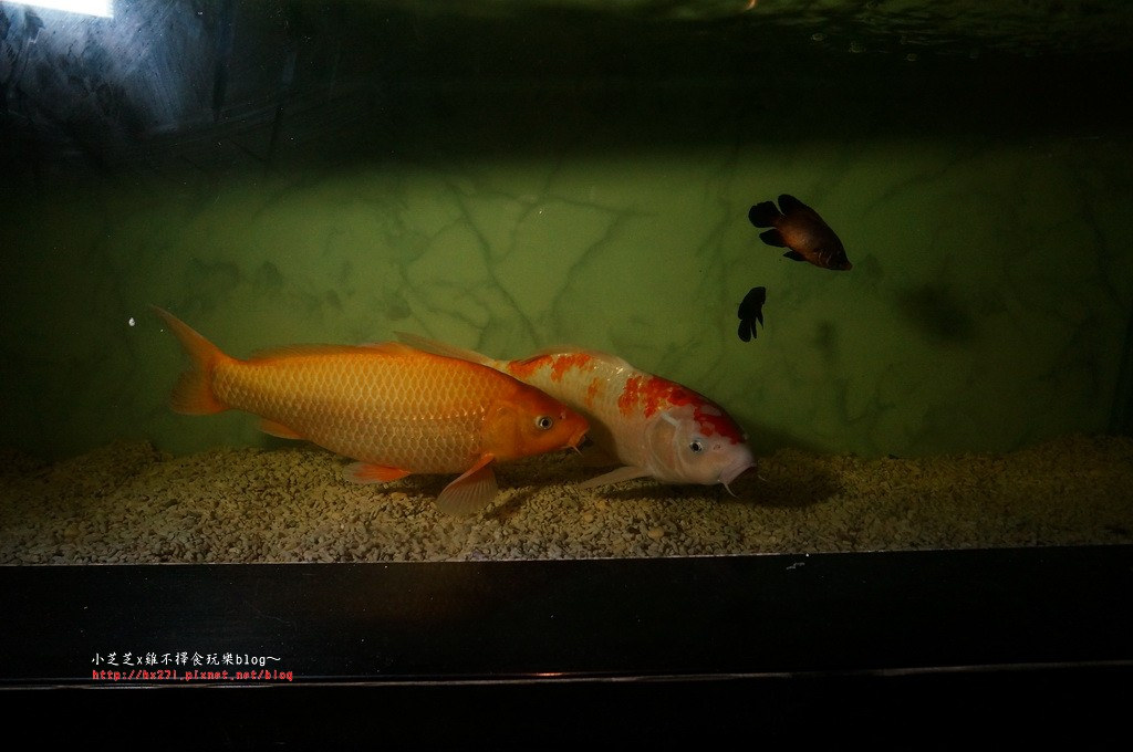 原村日式碳火燒肉