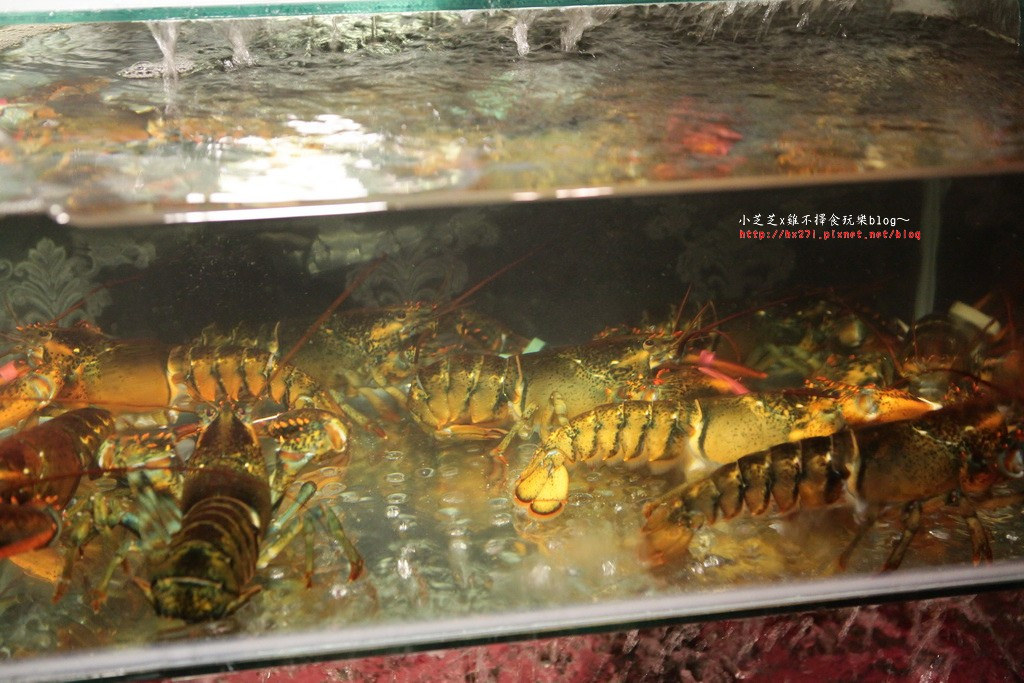 原村日式碳火燒肉