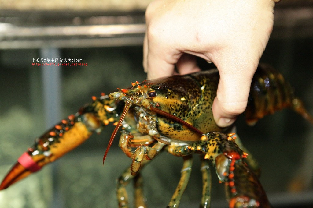 原村日式碳火燒肉