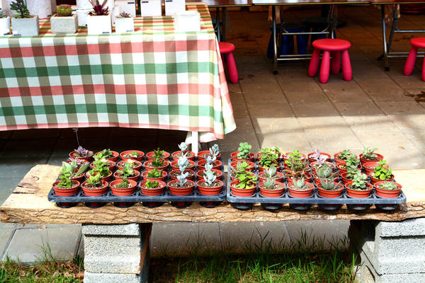 大腳丫農莊大島割烹日本料理：【桃園親子】大腳丫農莊大島割烹日本料理戶外親子餐廳 永安漁港綠色隧道 平日無菜單料理假日定食 公車可抵達