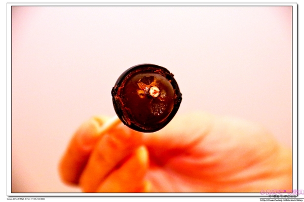 小林冰堂：【美食♥宜蘭】☼ 小林冰堂手作霜淇淋 ☼ 菇菇花園吸睛又美味，到羅東林場必嚐的手作霜淇淋，鮮果霜淇淋濃郁的香氣一吃就難忘！♥♥