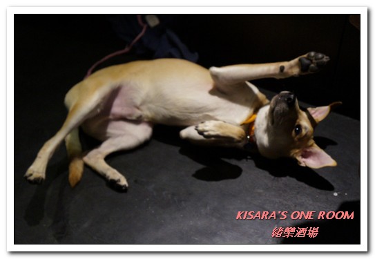 緒樂酒場：東區居酒屋．喝酒就是要喝到HIGH的美味創意料理店──緒樂酒場