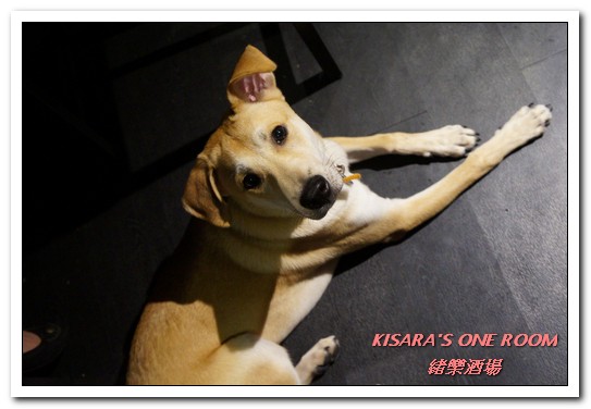 緒樂酒場：東區居酒屋．喝酒就是要喝到HIGH的美味創意料理店──緒樂酒場