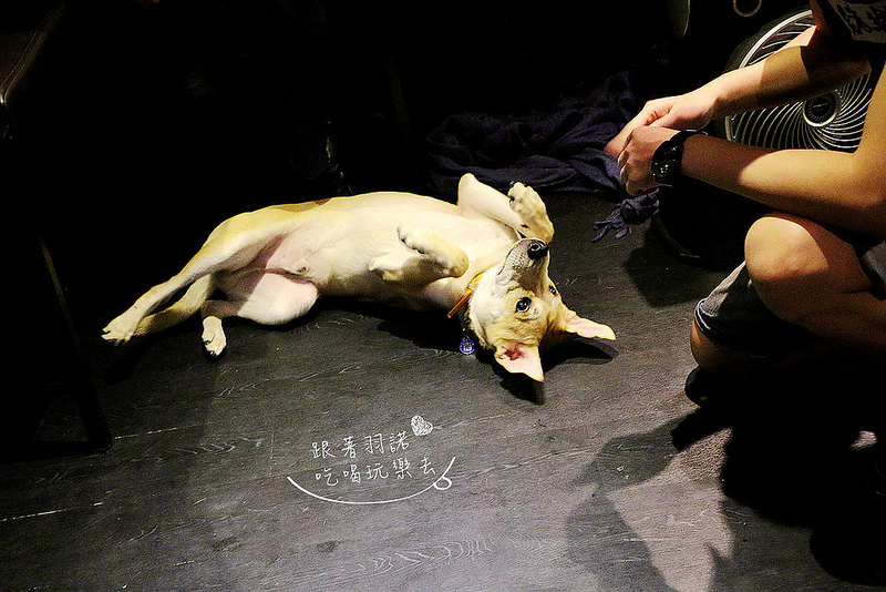 緒樂酒場-東區居酒屋199