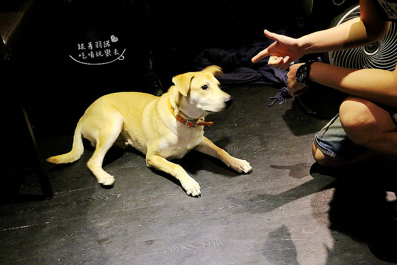 緒樂酒場-東區居酒屋200