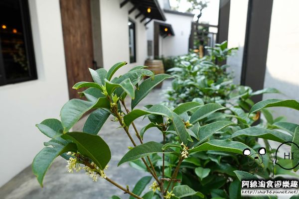 【台南美食】甘簞行瓦MVSA-正統西班牙酒莊餐廳結合台南老屋、文創，用台南在地食材輕揉出異國料理細緻美味．TJGORUP台鉅/藍曬圖文創區/私人招待所/南區